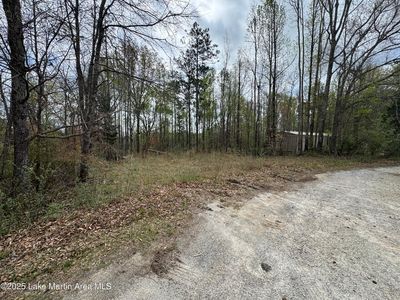 LOT 19 Mohogo Rd, Alexander City, AL, 35010