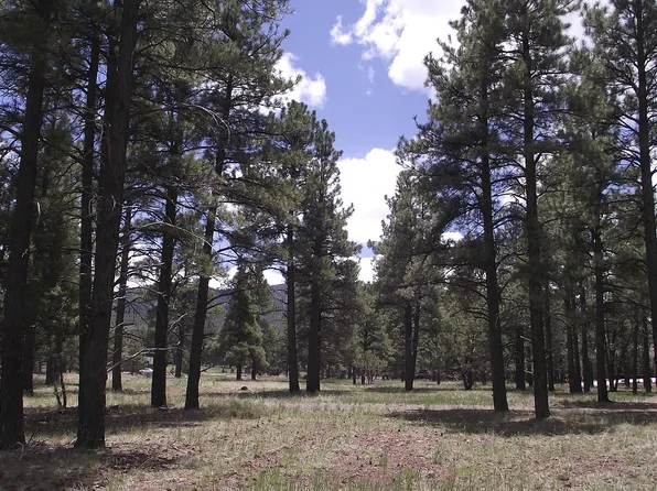 522 S Highland Meadows Dr, Williams, AZ 86046