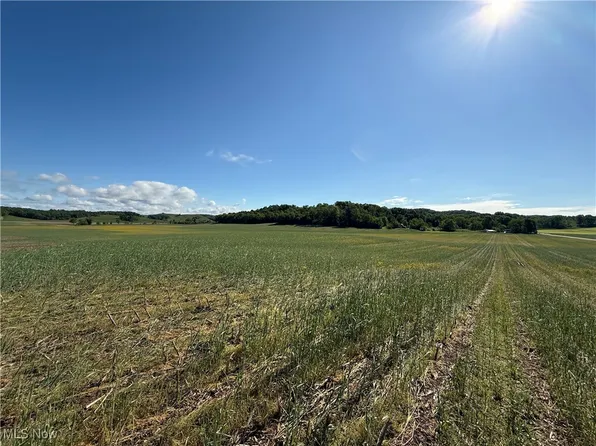 Township Road 154, West Lafayette, OH 43845