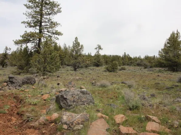 Bluejay Dr Lot 12, Bonanza, OR 97623