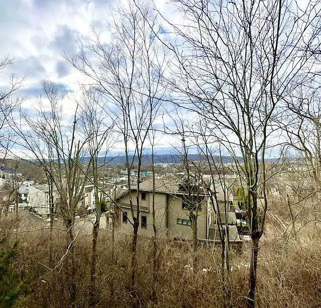 Tusculum View — Photo 1