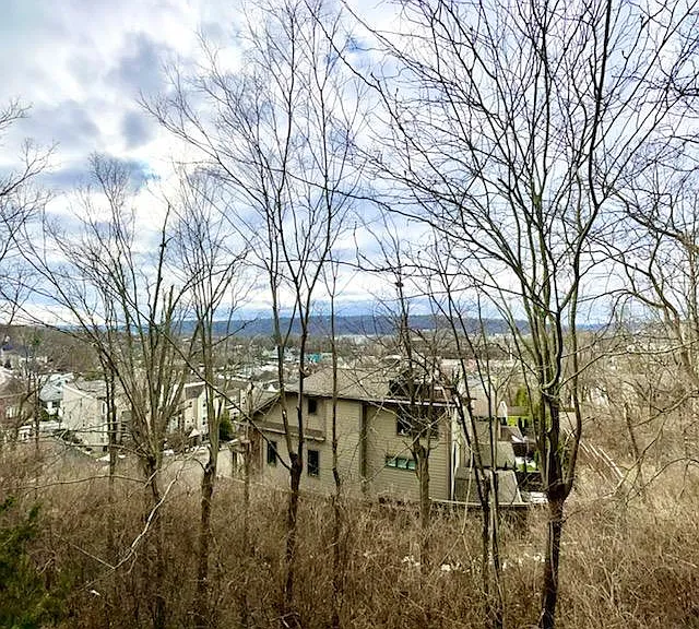 Tusculum View — Photo 1