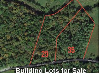 35 Mine Rd, South Strafford, VT 05070