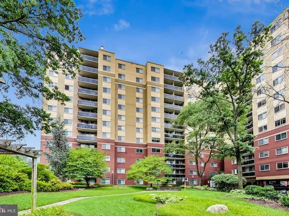 7333 New Hampshire Ave Suite 104, Takoma Park, MD 20912