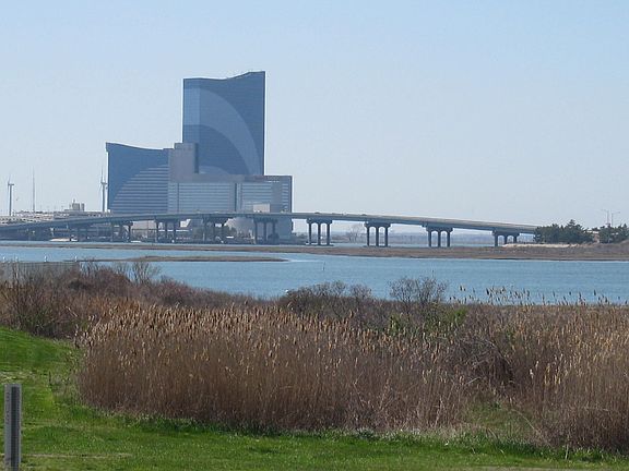 View by day from EIK, LR, & Deck