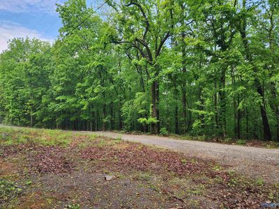 0 Huskey Mountain Rd, Laceys Spring, AL, 35754