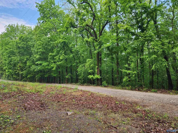 0 Huskey Mountain Rd, Laceys Spring, AL 35754