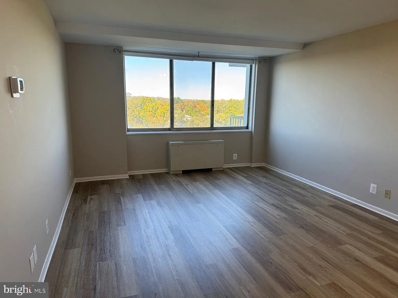 1 bed, 1.0 bath, 590 sqft, $1,600 — Photo 4