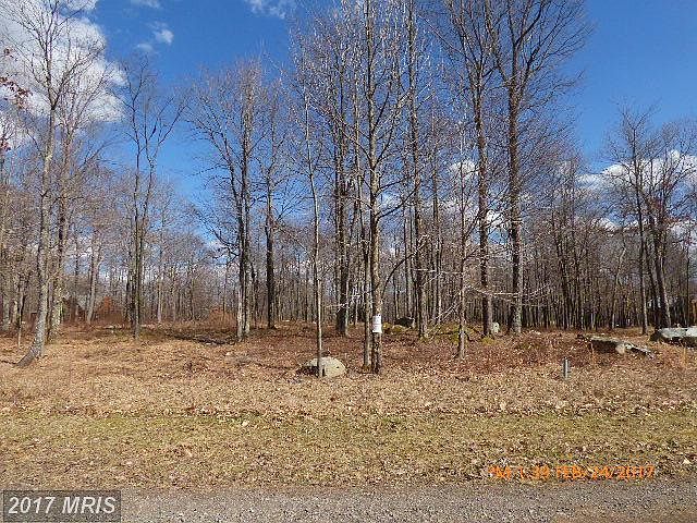 2nd image of 36 Fern Loop Dr