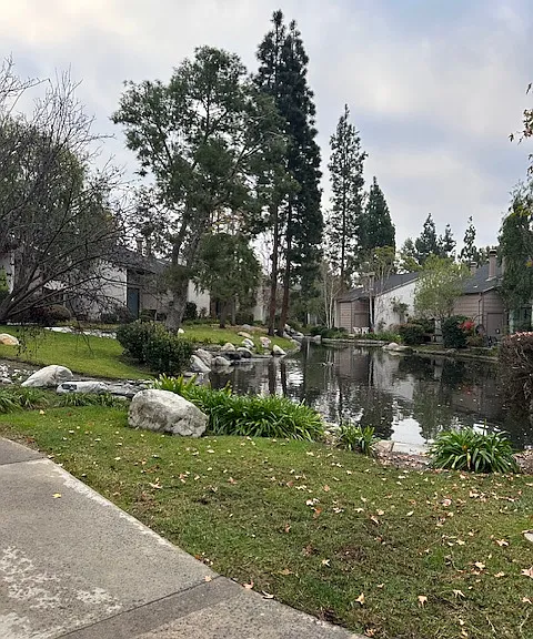 your view on your walk