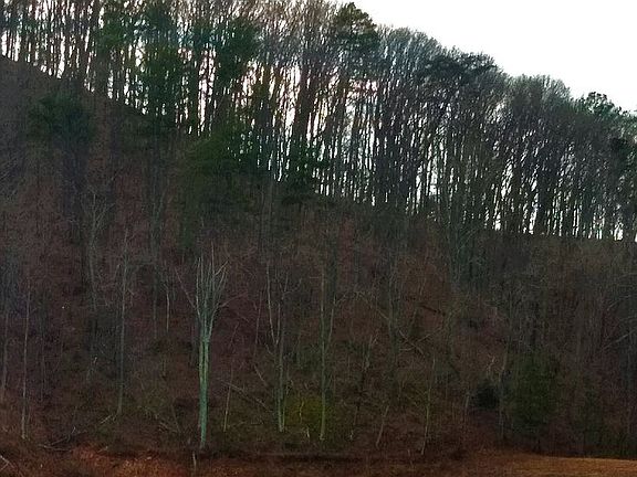 Lot is above the lake