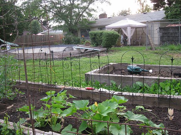 Raised Bed Garden