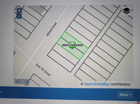 Lots 9-10 Mineral Street, Silverton, CO 81433