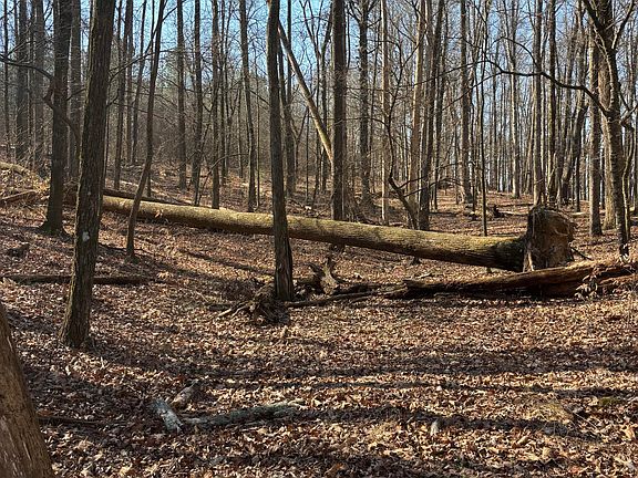 2nd image of 0 Johnson Rd SE