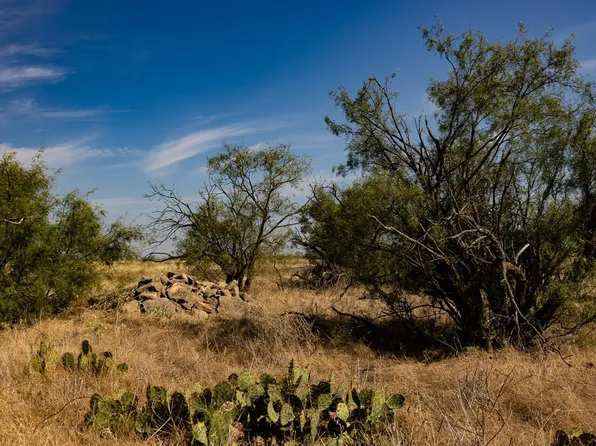Buckskin Ranch Rd, Clyde, TX 79510