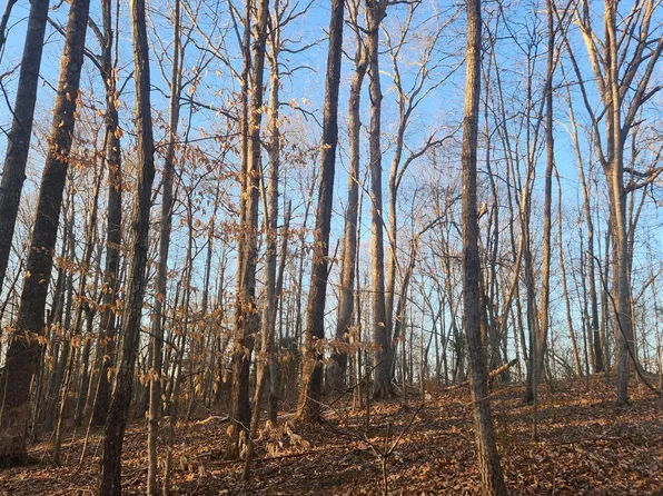 16.39 L Swafford Rd, Pikeville, TN 37367