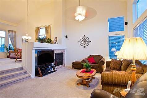 2785 whitewing-20