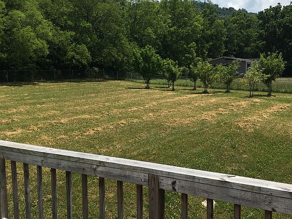 Backyard, fruit trees.