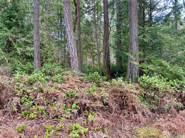 11824 Dogwood Place, Anderson Island, WA 98303