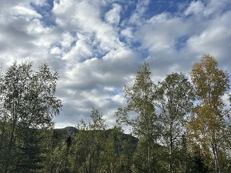 15712 Mooseberry Bnd #1 — Photo 15