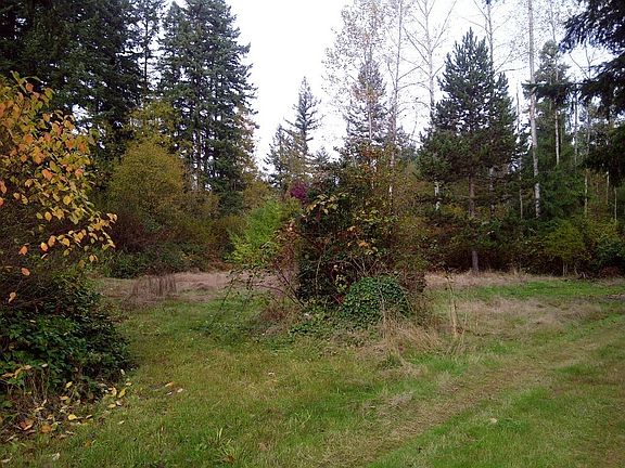 3rd image of 19816 129th Avenue Ct E