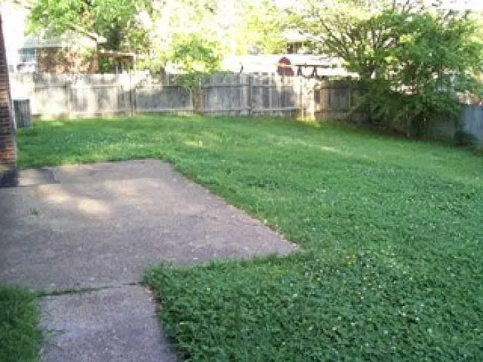 3 bed, 1600 sqft, $1,495 — Photo 3