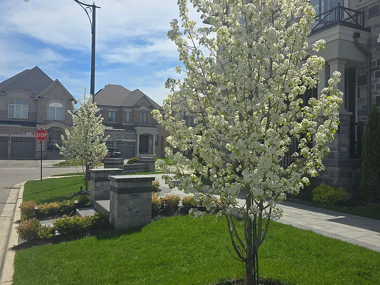 2 Silo Ct — Photo 2