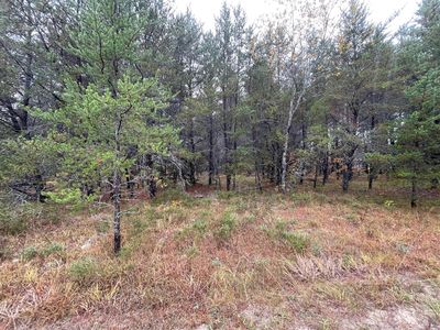 LOT 39 Memory Ln, Roscommon, MI, 48653