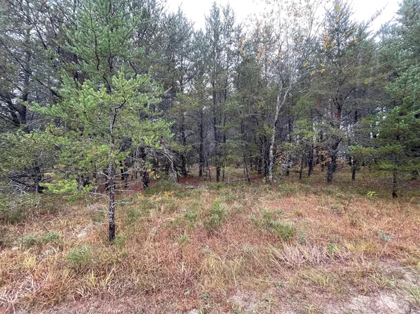 LOT 39 Memory Ln, Roscommon, MI 48653