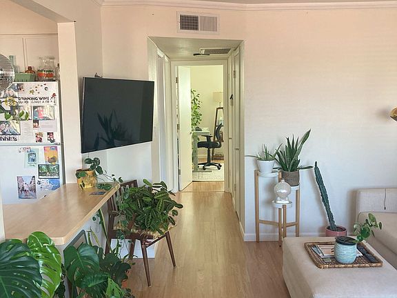Living Room to Back Bedrooms - Past tenants furniture