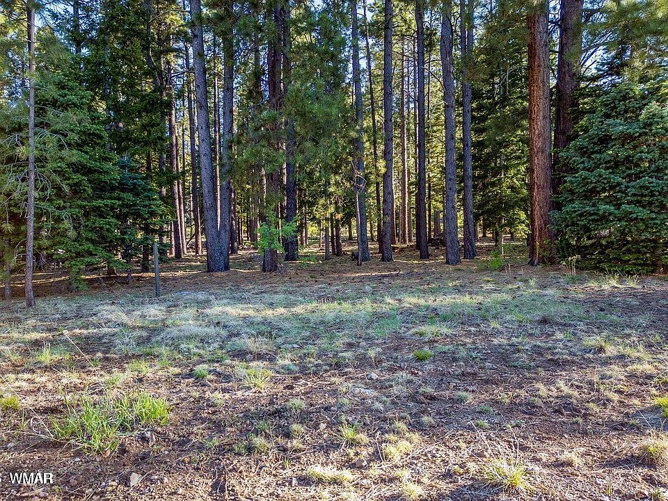1st image of 10 N 1337th