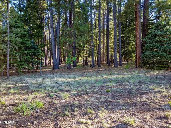 10 N 1337th, Greer, AZ 85927