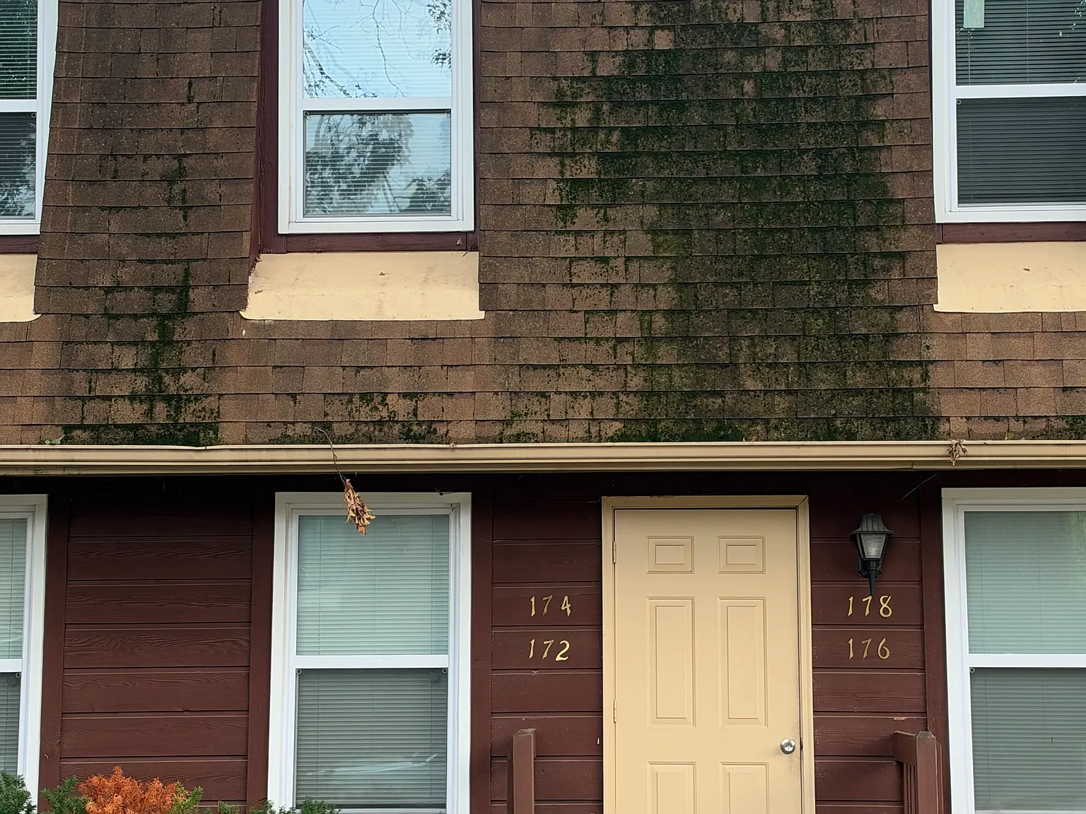 1 bed, $825 — Photo 3