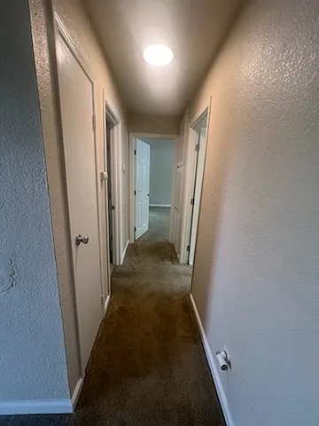 2219 Hillsborough Ct #2 — Photo 6