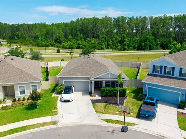 18379 Falling Pine Needle Ln, Land O Lakes, FL 34638