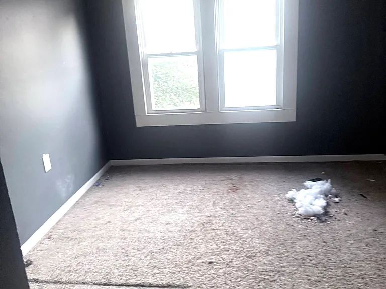 715 W Cushing St — Photo 12