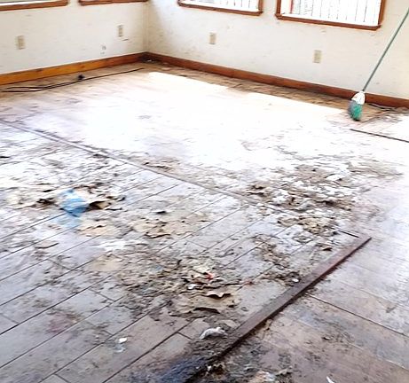 3rd image of 56 Laure Ln