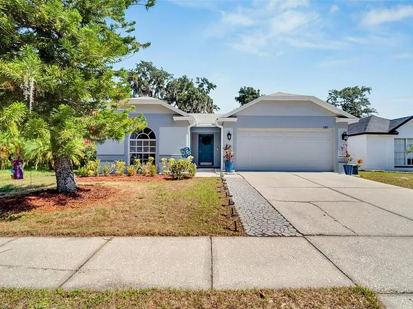 1202 Bloom Hill Ave, Valrico, FL 33596