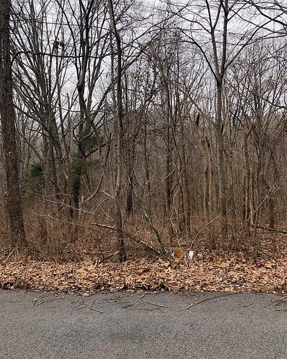 2nd image of Cheddar Ln