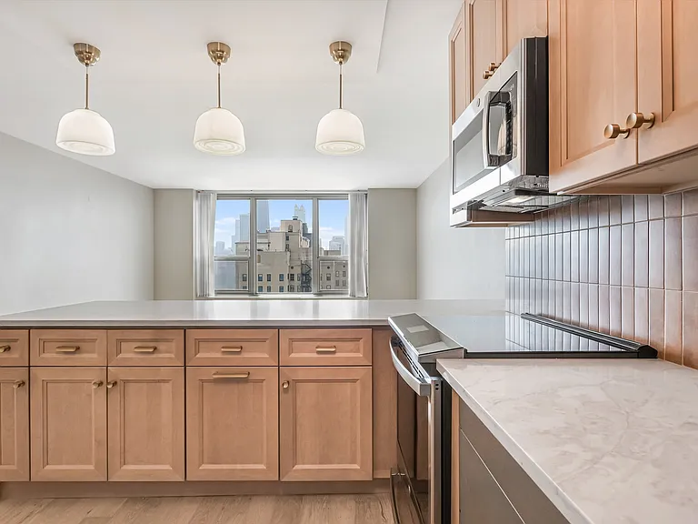 1550 N Lake Shore Dr #29D — Photo 6