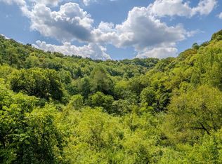 5319AC Watts Hollow Rd, Buffalo Valley, TN 38548