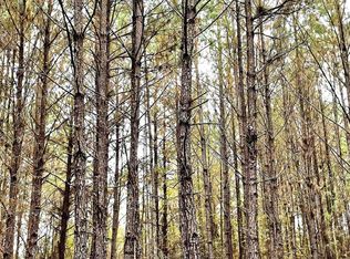 0 Old Savannah Rd, Midville, GA 30441