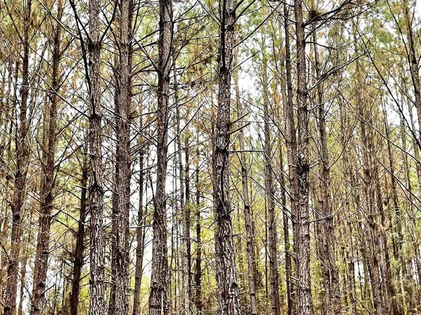 0 Old Savannah Rd, Midville, GA 30441