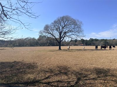 5760 North Fm 1486, Montgomery, TX, 77356