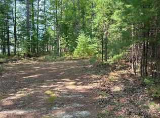 592 Blue Heron Dr SE, Kalkaska, MI 49646