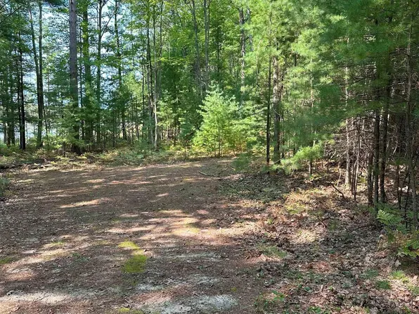 592 Blue Heron Dr SE, Kalkaska, MI 49646