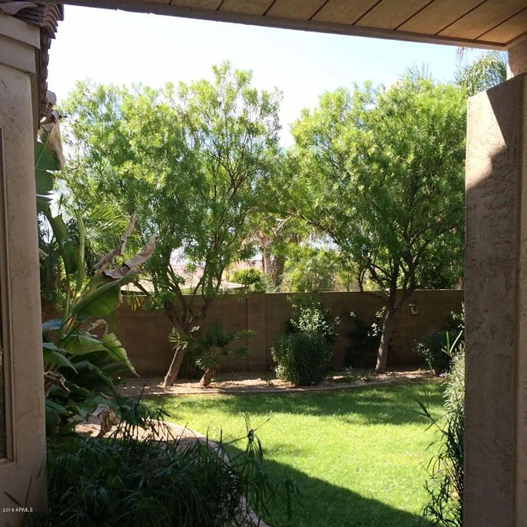 Perfect Chandler Location — Photo 3