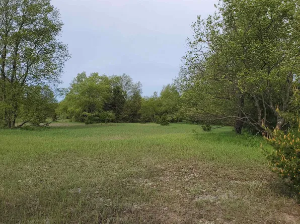 0 S Pioneer Rd, Thompsonville, MI 49683