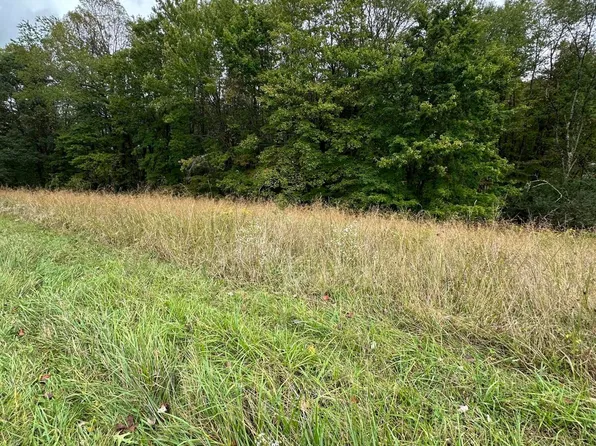 0 Miller Ridge Rd, Hico, WV 25854