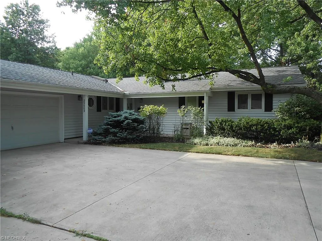 29009 Wolf Rd photo 1